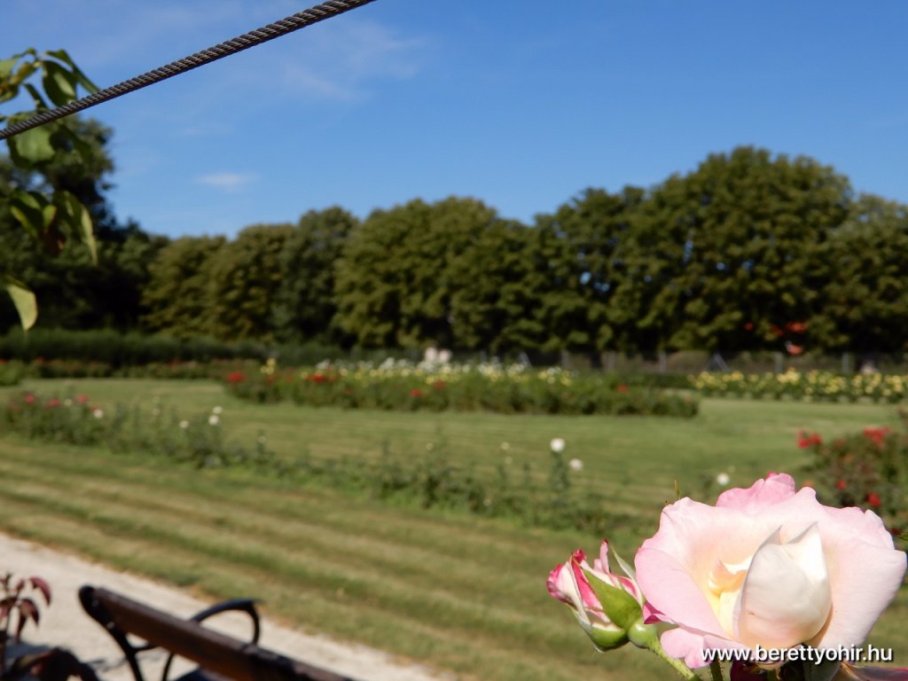 berettyóújfalu az esterházy barokk ételfőző fesztiválon 38